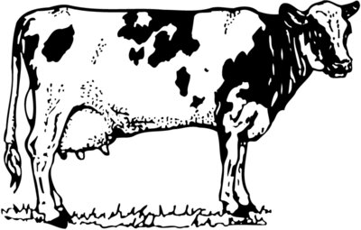 COW026